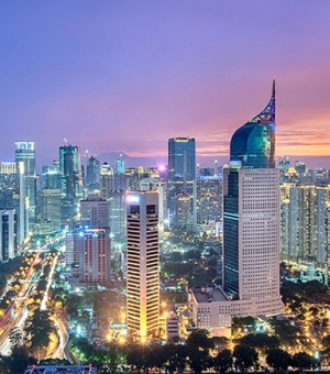 Land, Grow, and Thrive: The Insider's Guide to Indonesia's Job Market