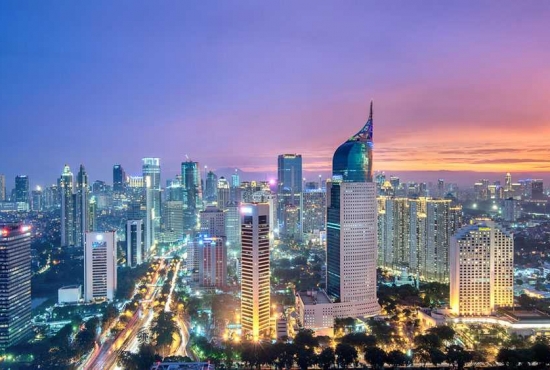 Industry Insights for the New Year in Indonesia